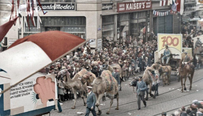 Beim Reklameumzug zieht eine Gruppe des Kölner Zoos durch die Weyerstraße. Fotoabzug aus dem Archiv Martin Junkersdorf, Teil des historischen Archivs der WEGEN de LEUT media, Klaus Hausmann